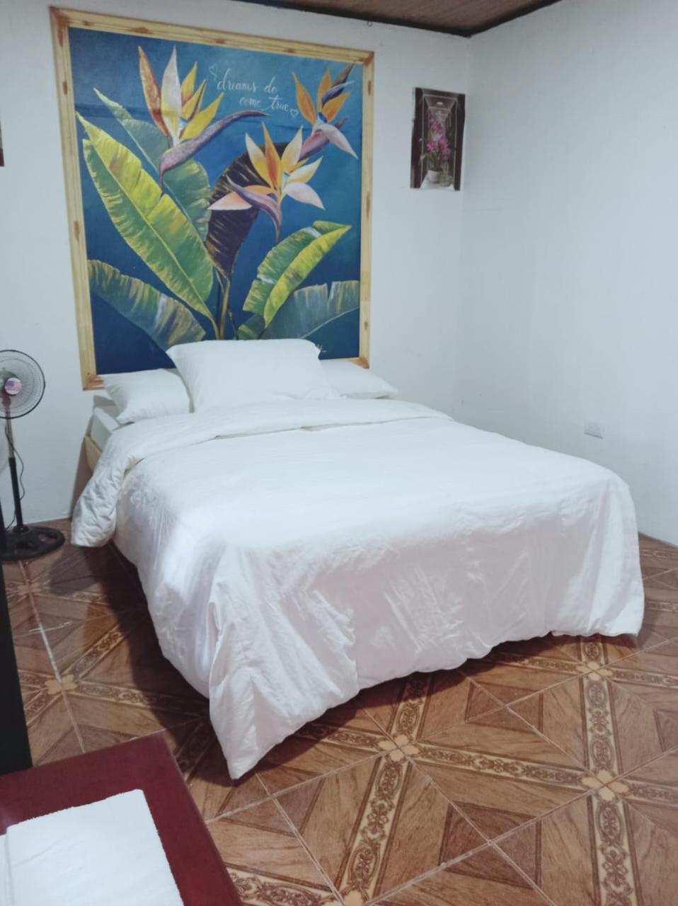 Blackout Hostel La Fortuna Eksteriør billede